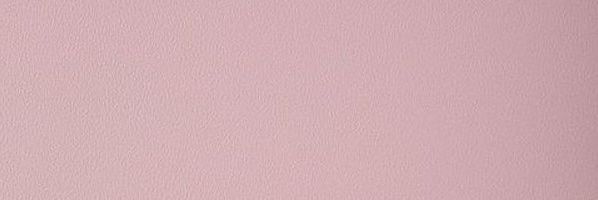 🦋 banner