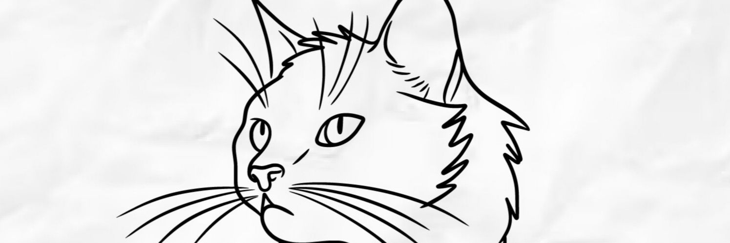 kitten9393's profile banner image