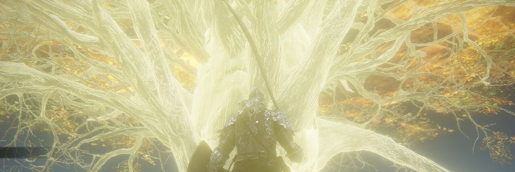 kwiaty's banner