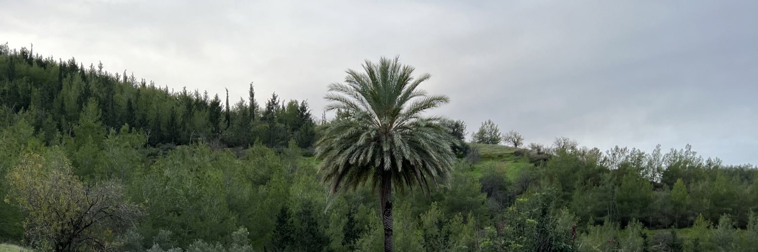 orhankursad's profile banner image