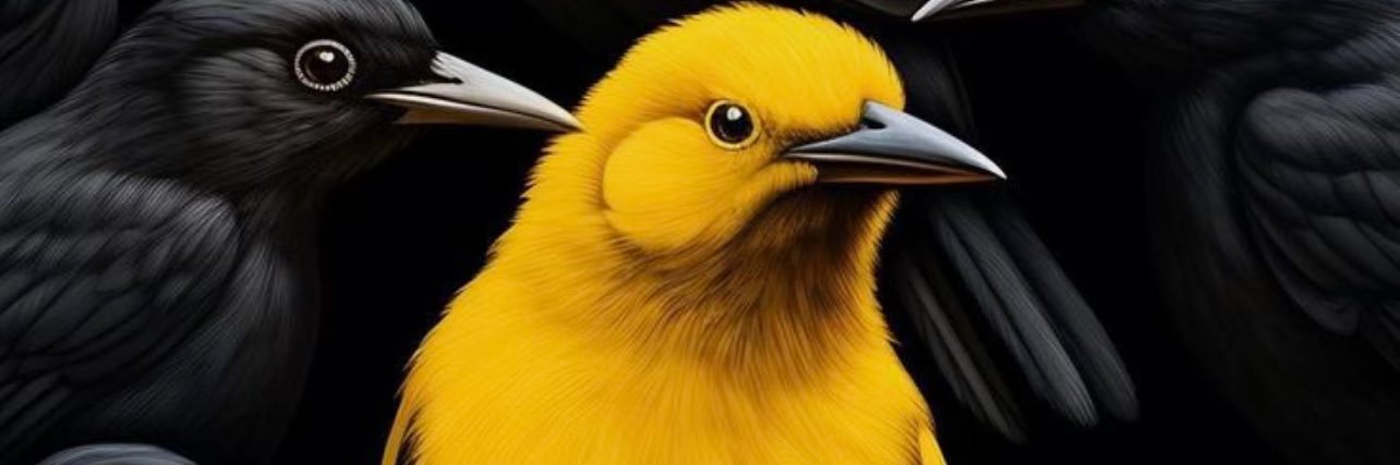 0sas001's profile banner image