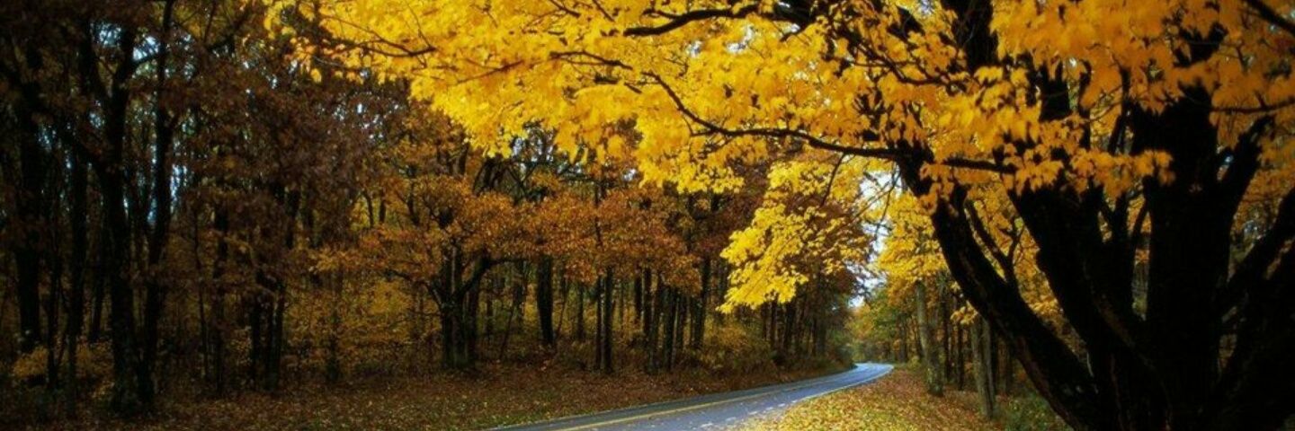 kotiloglu34's profile banner image
