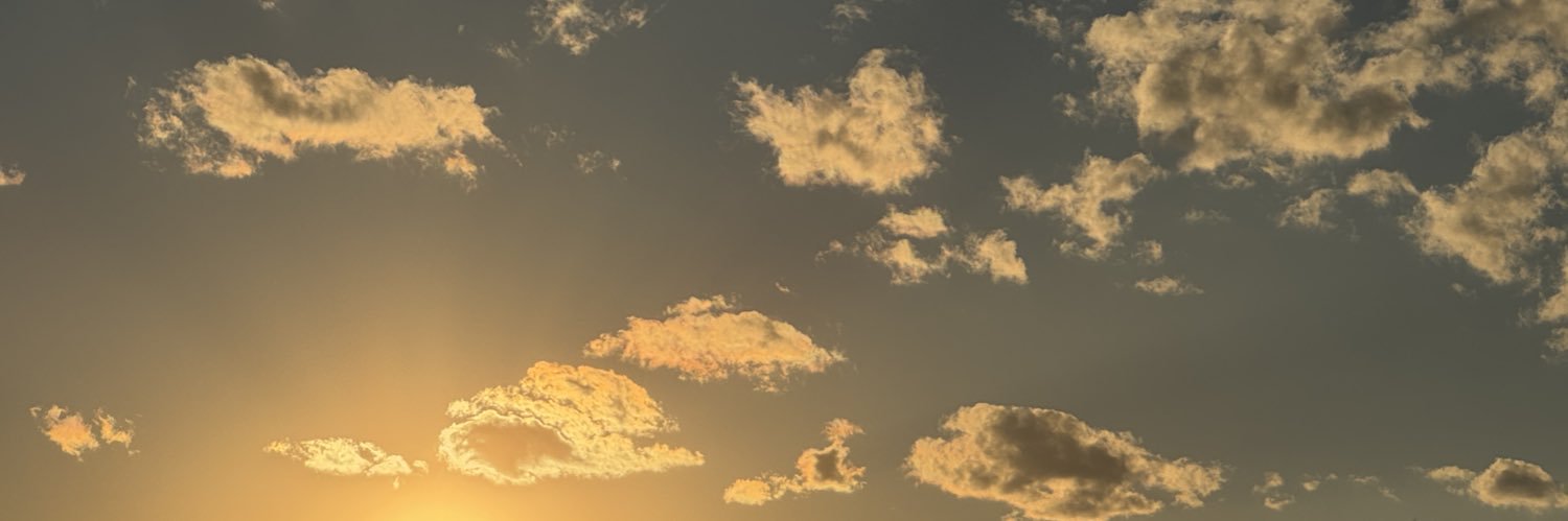 chocorinrin9's profile banner image