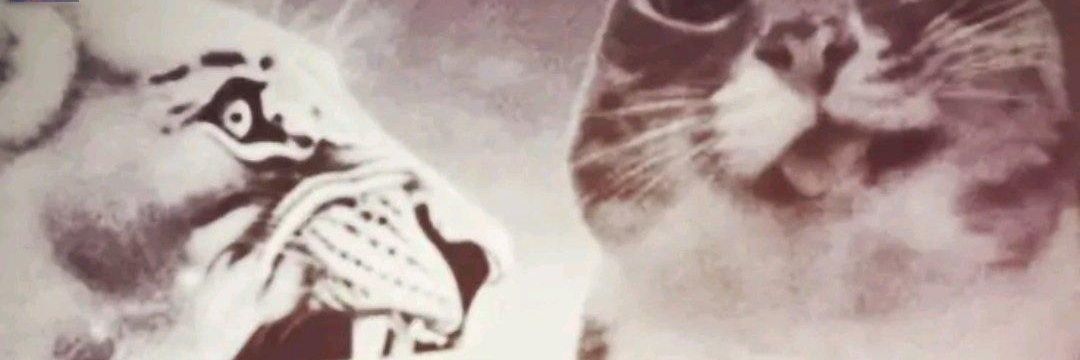 vun #opentooffer banner