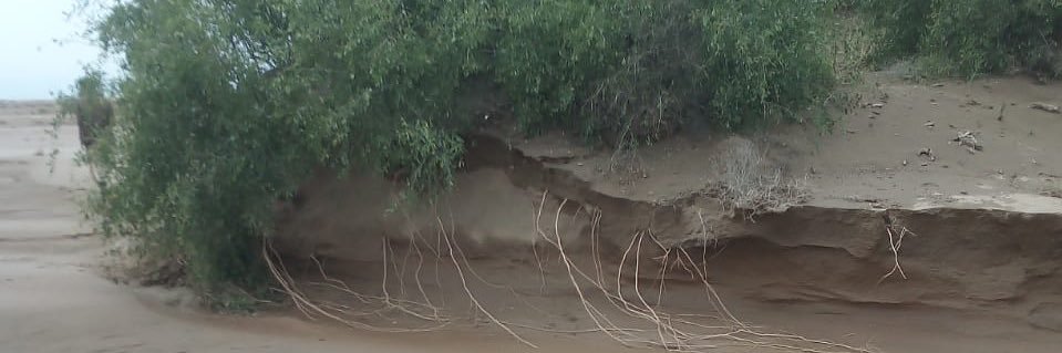 متجر ابو حنش للسواك banner