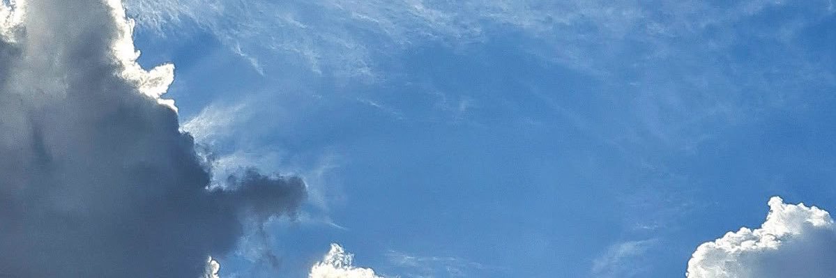 X banner