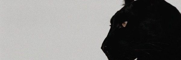 Abrar142811's profile banner image
