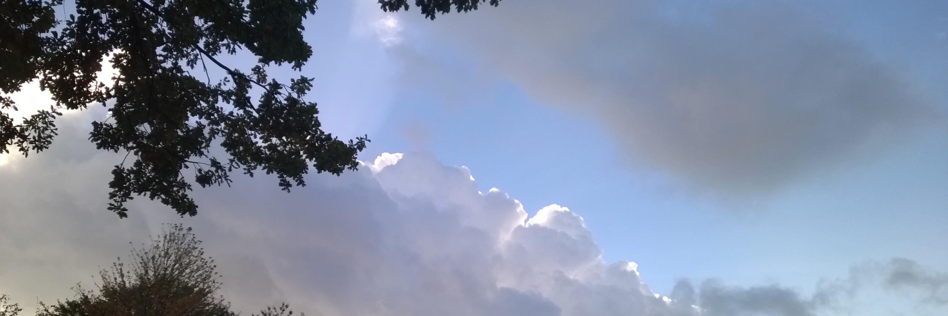 dirkcremer's profile banner image