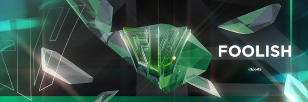 foolish_FN Profile Banner