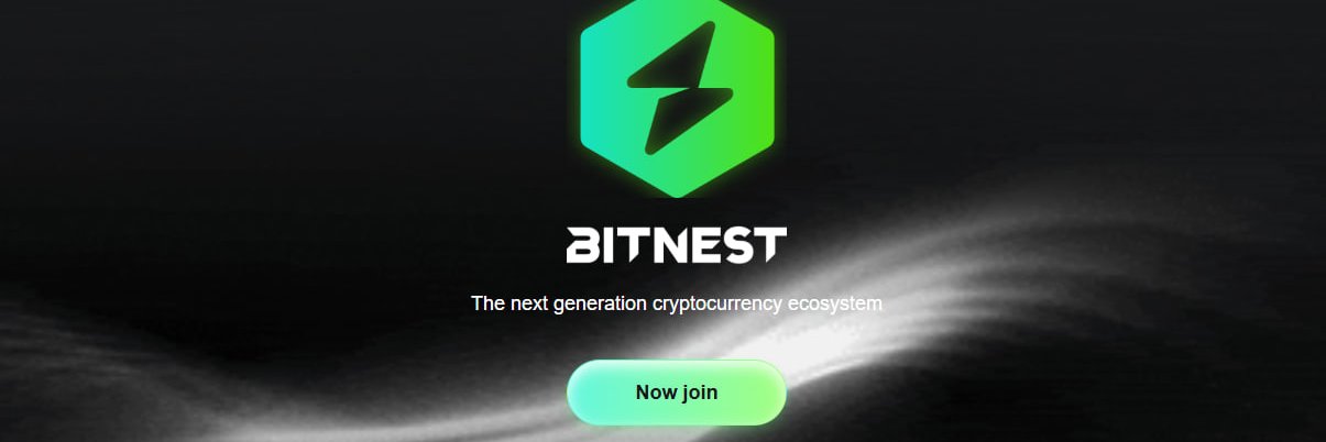BitNest banner