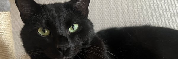LinuuuusAbi Profile Banner