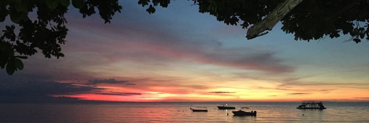 swnayim's profile banner image