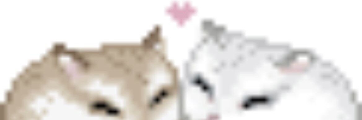 chud of #shtwt !! banner