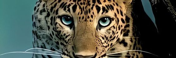 El Pinero banner