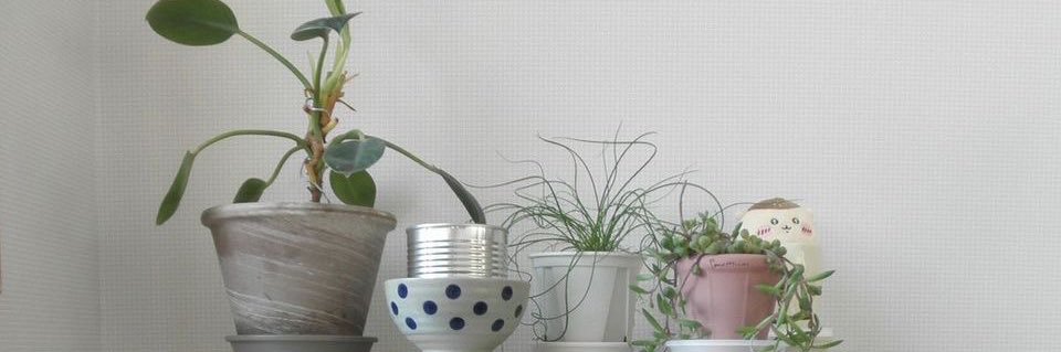 말숙 banner