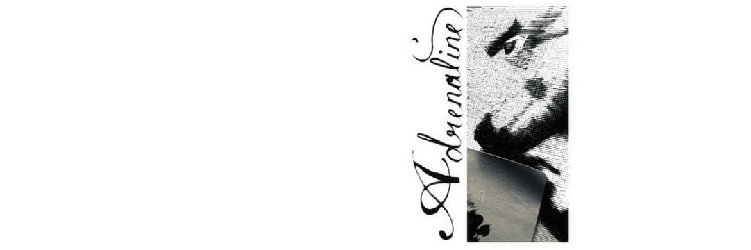 lulu banner