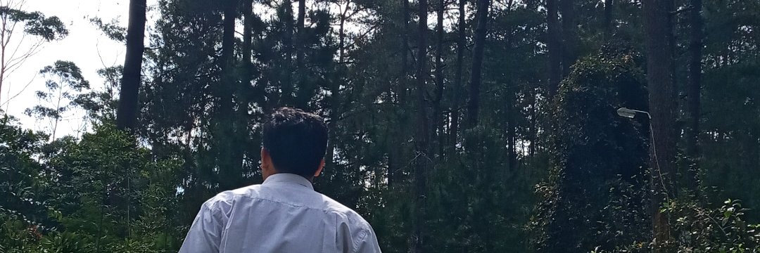 reesstiii's profile banner image