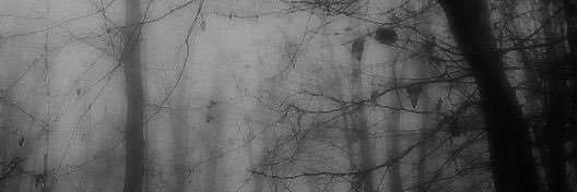 _2iklaa's profile banner image