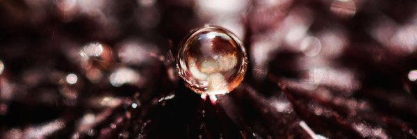 amlozyk Profile Banner