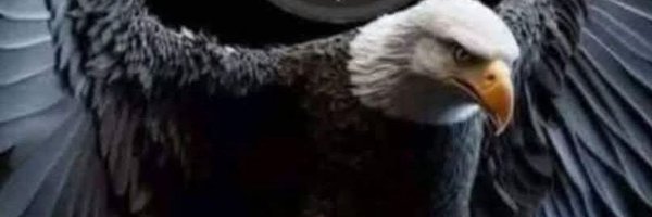 BunyaminYa61556 Profile Banner