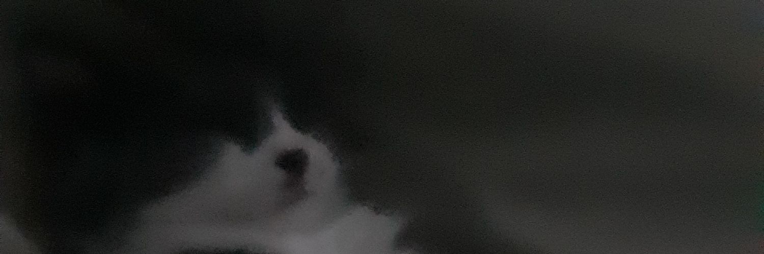 ButNok_Slut's profile banner image