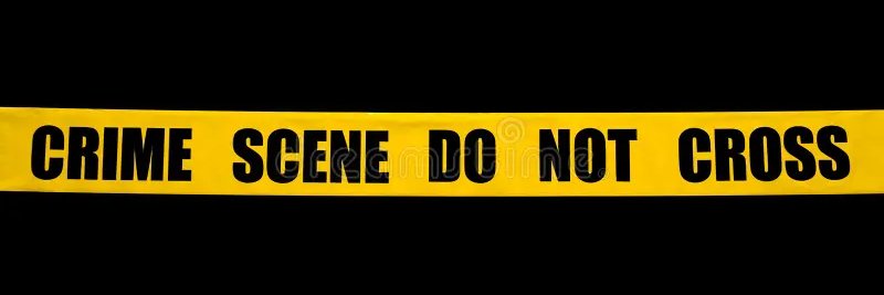 Colorado Courts Exposed banner