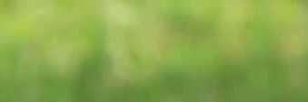Jay banner
