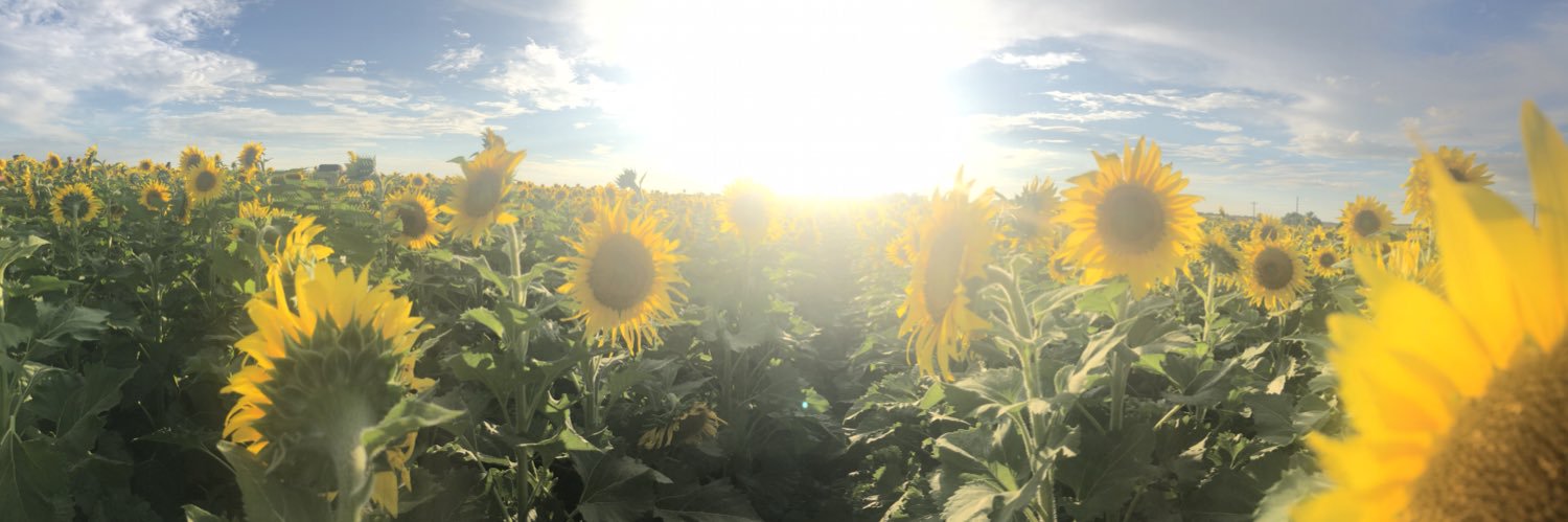 emilybernard98's profile banner image