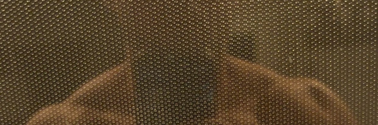 bignfancy504's profile banner image