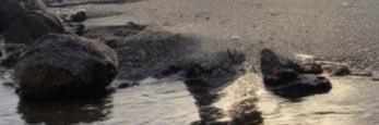 Nikkiteeen's profile banner image