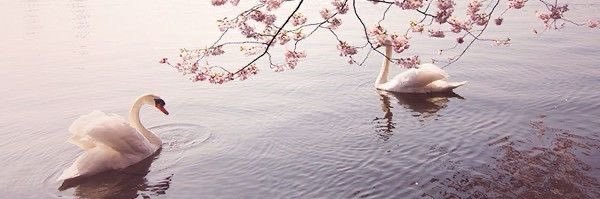 Cxmnm_'s profile banner image
