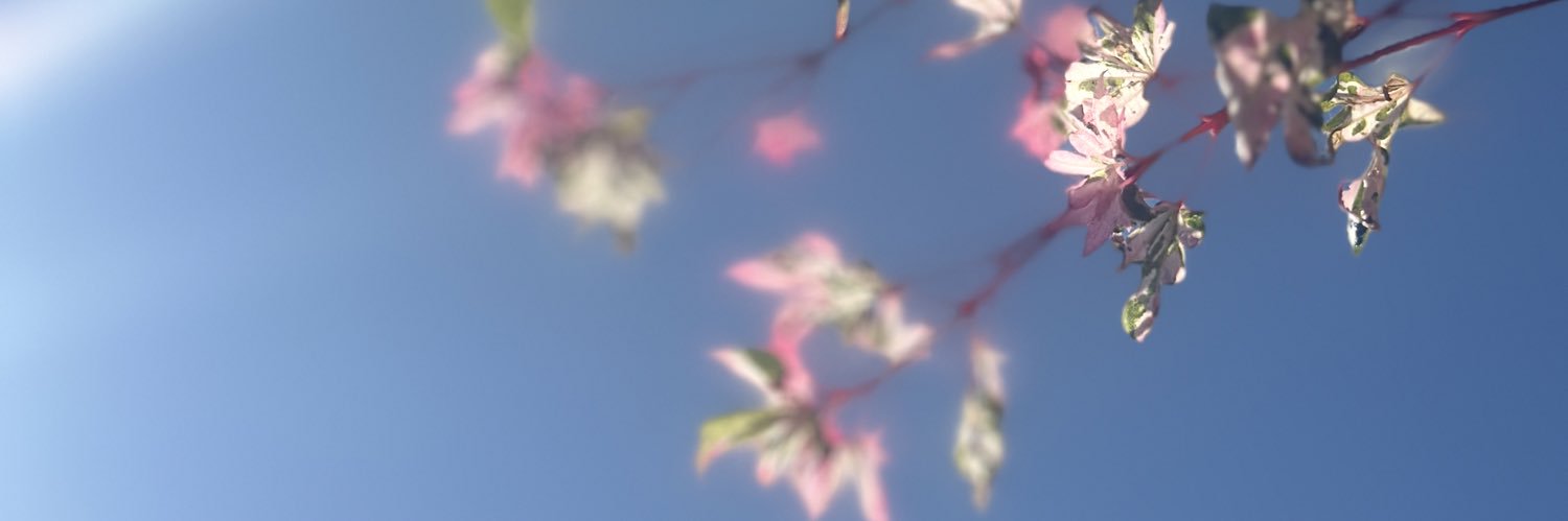 TheKindHeadteacher banner