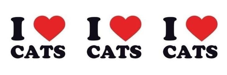 𝟙 𝟚 𝕌 banner