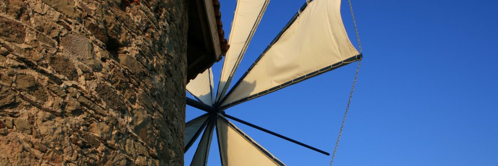 Ipek Tunca banner