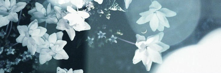 yua𑣲 || missing mari ibarra :( banner