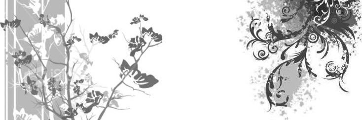 𑣲┆𝑰ryna 𝑪hernenko ˚.⋆ֹ banner