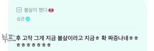 miaogyul Profile Banner