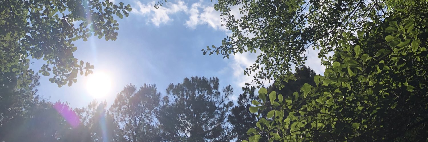 LorieByrd's banner