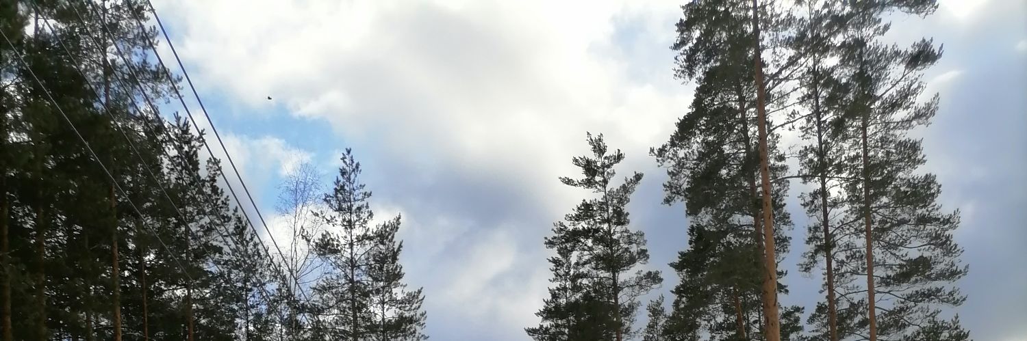 Попкорм II banner