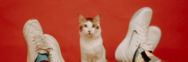 nisanabolo's profile banner image