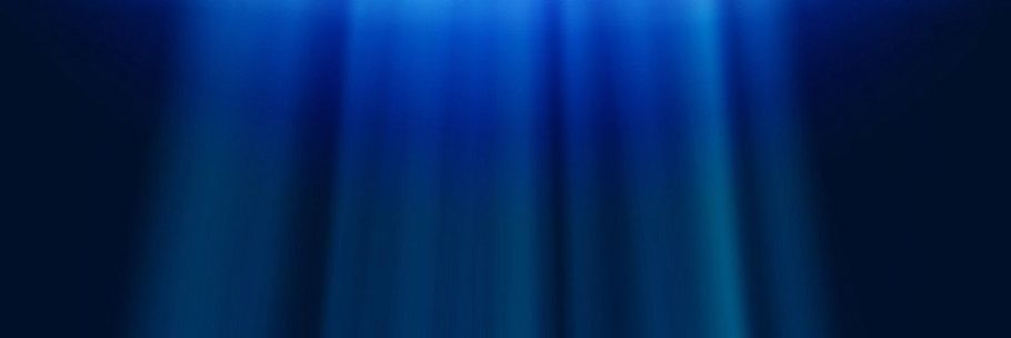 해파리's banner