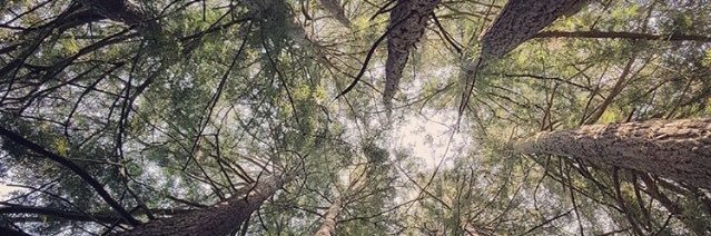 jenmed's profile banner image