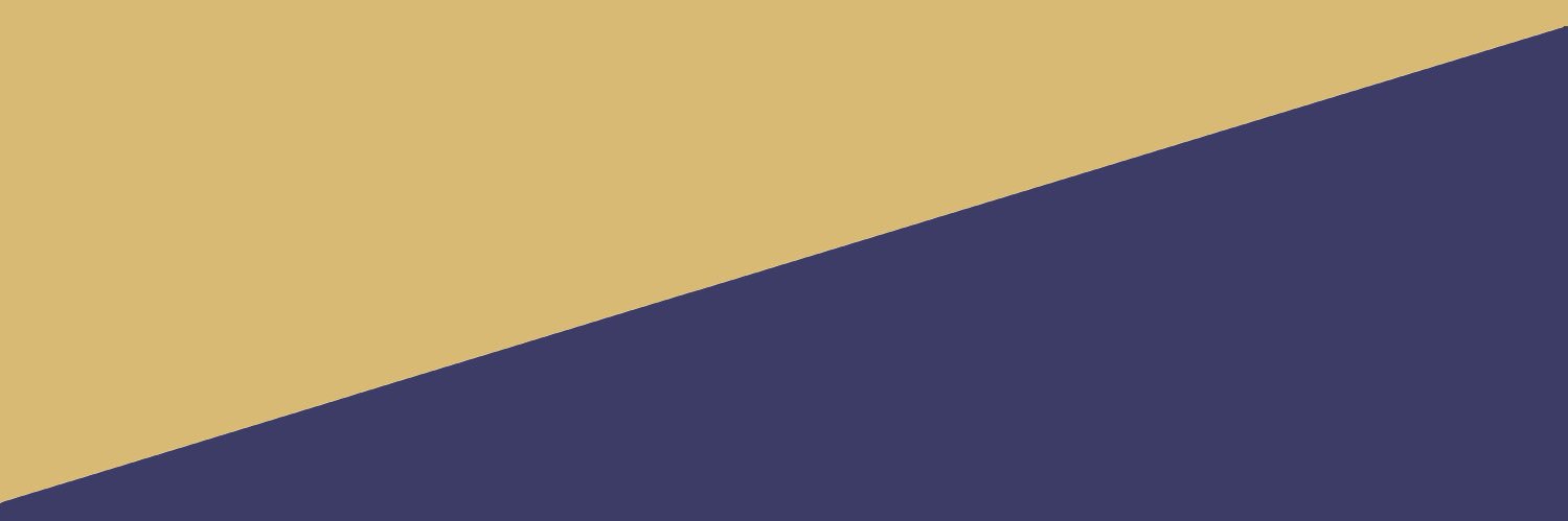 CRC_Iris's profile banner image
