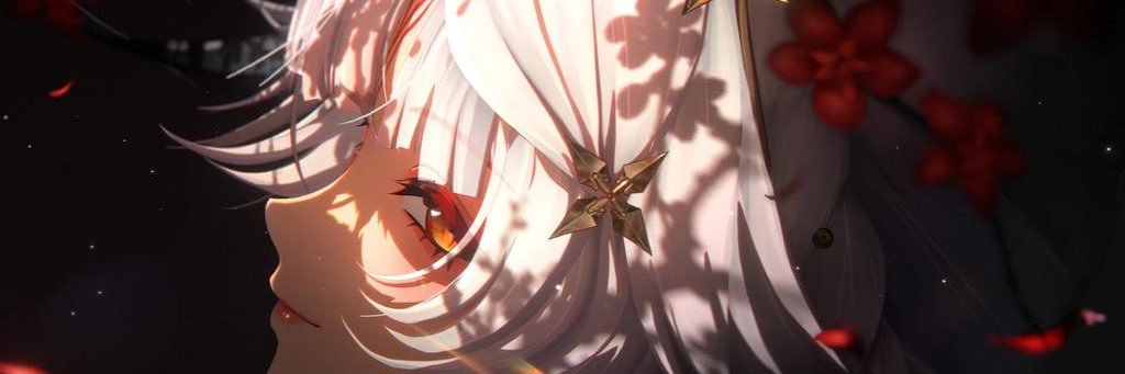 Hsin_aikouka's profile banner image