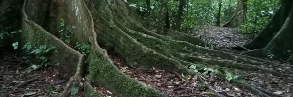 ParlonsTerrain Profile Banner
