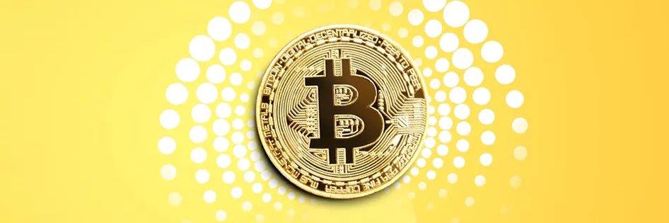 CryptoKing banner