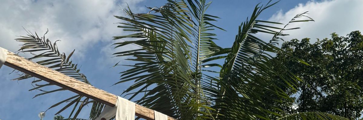 Mar_2517_'s profile banner image