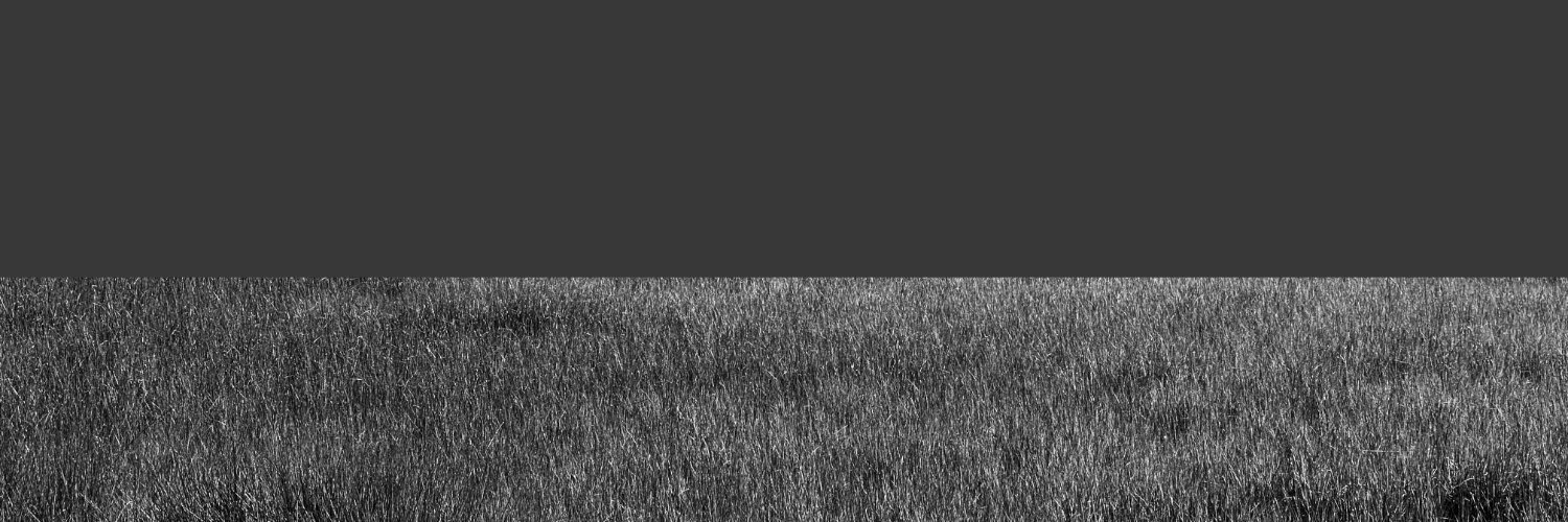 supercollider's banner