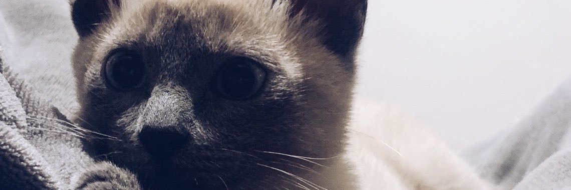larocazx_'s profile banner image