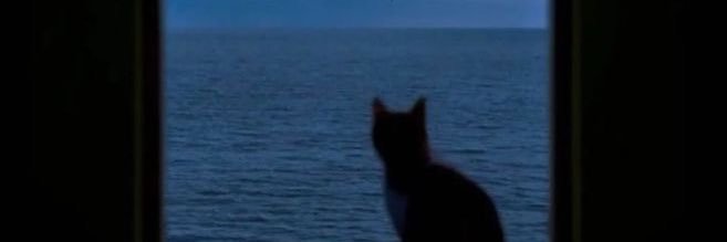 3am50n's profile banner image